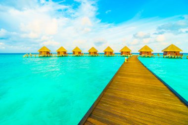Güzel tropikal Maldivler ada