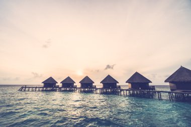Güzel tropikal Maldivler ada