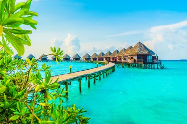 Güzel tropikal Maldivler ada