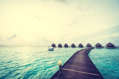 Güzel tropikal Maldivler ada