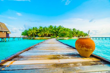 Güzel tropikal Maldivler ada