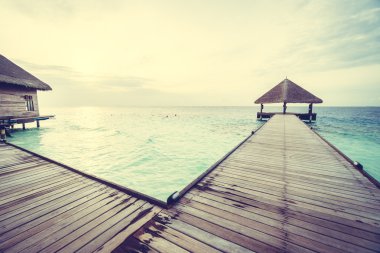 Güzel tropikal Maldivler ada