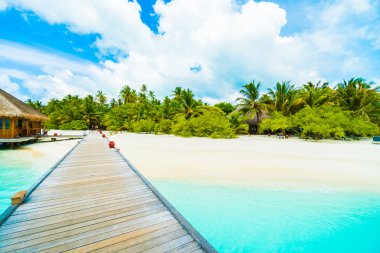 Güzel tropikal Maldivler ada