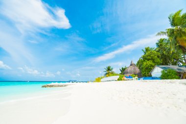 Güzel tropikal Maldivler ada