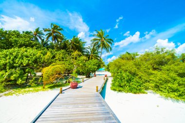 Güzel Maldivler ada