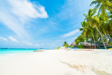 Güzel Maldivler ada