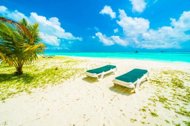 Güzel Maldivler ada