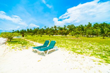 Güzel Maldivler ada