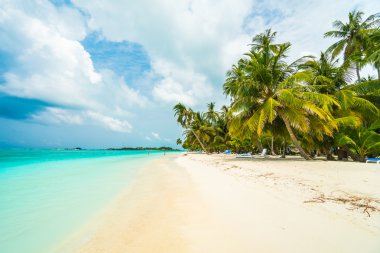 Güzel Maldivler ada