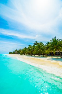 Güzel Maldivler ada