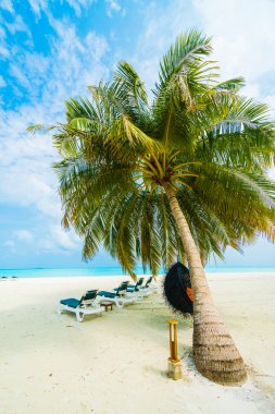 Güzel Maldivler ada