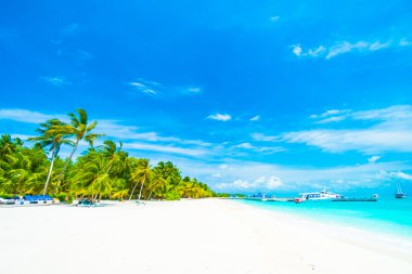 Güzel Maldivler ada