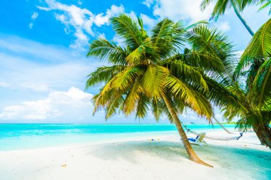 Güzel Maldivler ada