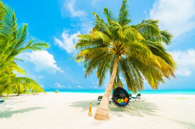 Güzel Maldivler ada