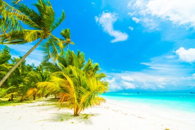 Güzel Maldivler ada