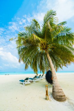 Güzel Maldivler ada