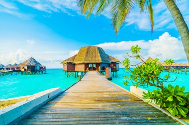 Güzel Maldivler ada