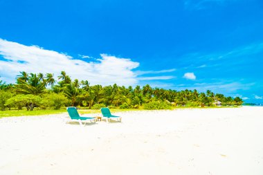 Güzel Maldivler ada