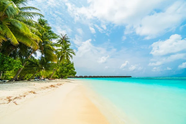 Güzel Maldivler ada