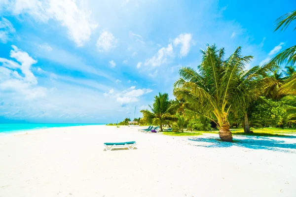 Belle île des Maldives — Photo