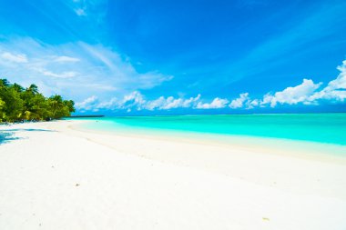 Güzel tropikal Maldivler ada