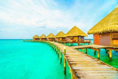 Güzel tropikal Maldivler ada