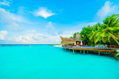 Güzel tropikal Maldivler ada