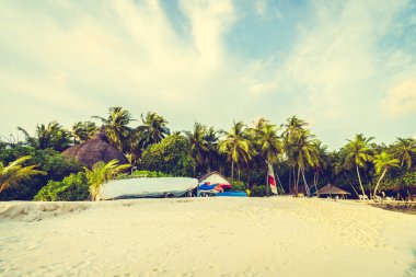 Güzel tropikal Maldivler ada