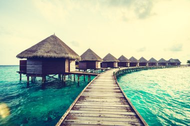Güzel tropikal Maldivler ada