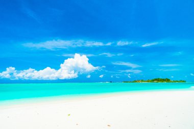 Güzel tropikal Maldivler ada