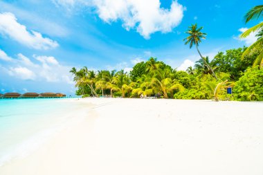 Güzel tropikal Maldivler ada