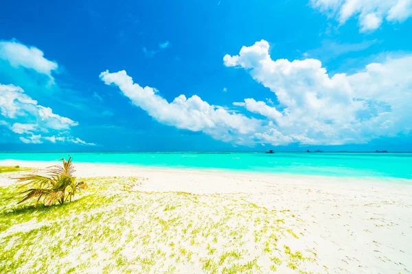 아름 다운 몰디브 섬 — 스톡 사진