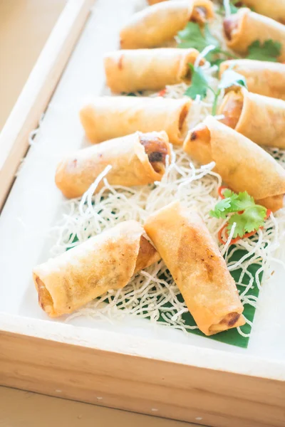 Fried spring roll — Stock Photo, Image