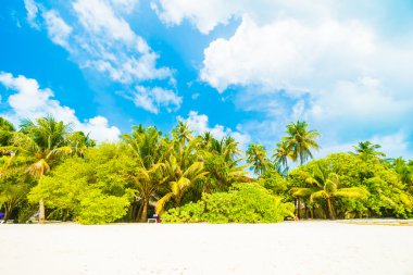 Güzel Maldivler ada