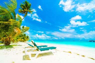 Güzel Maldivler ada