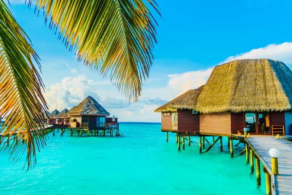 Smukke Maldiverne ø - Stock-foto