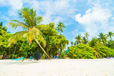 Güzel Maldivler ada