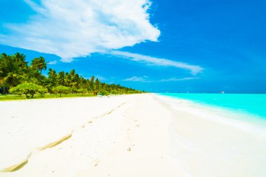 Güzel Maldivler ada