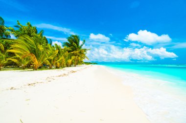 Güzel Maldivler ada