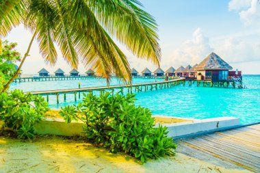 Güzel Maldivler ada