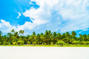 Güzel Maldivler ada