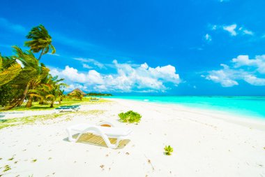 Güzel tropikal Maldivler resort