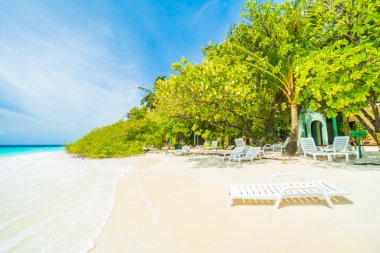 Güzel tropikal Maldivler ada