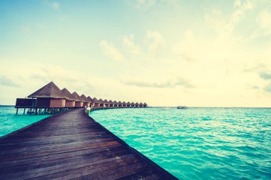 Güzel tropikal Maldivler ada