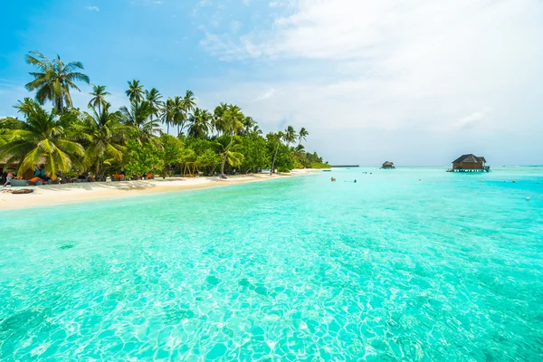 Maldivas isla playa —  Fotos de Stock