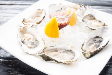 Ham taze istiridye kabuklu deniz ürünleri