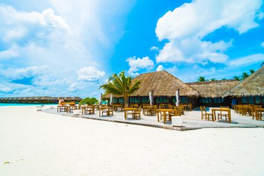 Tropikal plaj ve deniz Maldivler Island