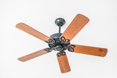 tavan fan dekorasyonu 
