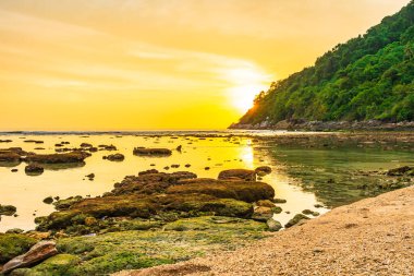 Sahildeki okyanusun etrafındaki dağda güzel bir gün batımı ve doğa gezisi için kaya.