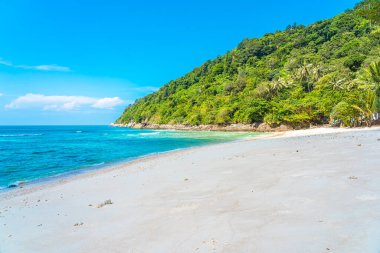 Güzel tropikal deniz okyanusu, hindistan cevizi ve mavi gökyüzünde beyaz bulut etrafındaki diğer ağaçlarla seyahat etmek için.